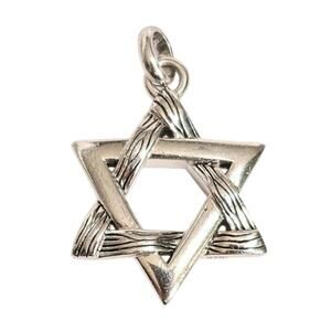 Effy Sterling Silver Star of David Panther Head Pendant